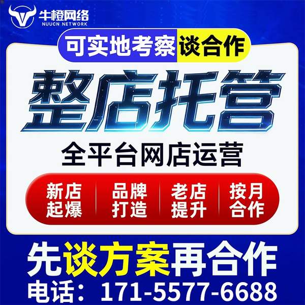 榆林电商代运营