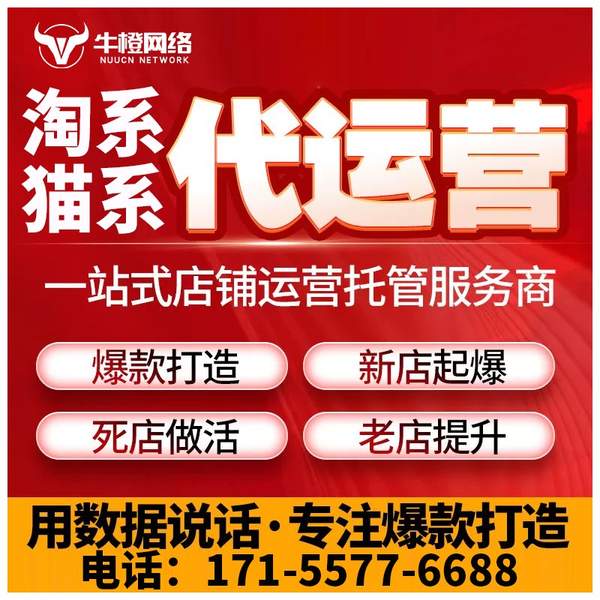 榆林电商代运营